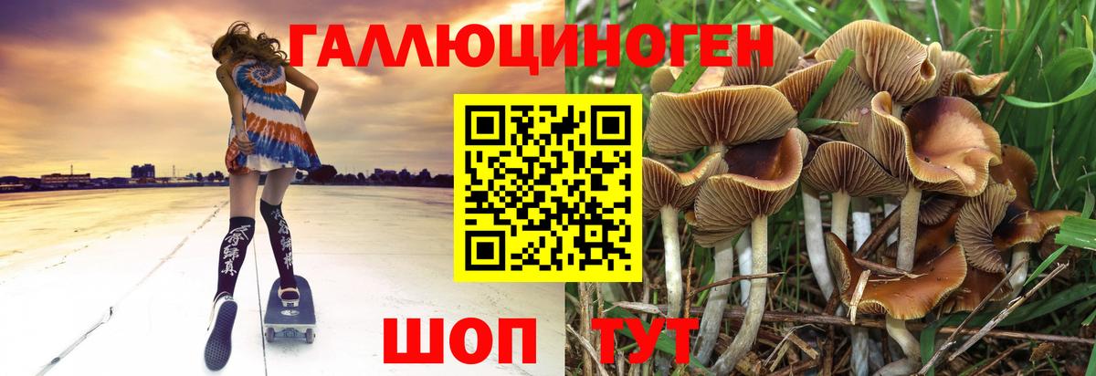 Галлюциногенные грибы Psilocybe  Вход с VPN  Видное 