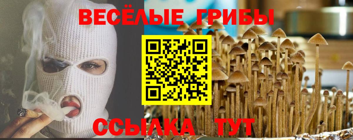 Галлюциногенные грибы мухоморы Видное