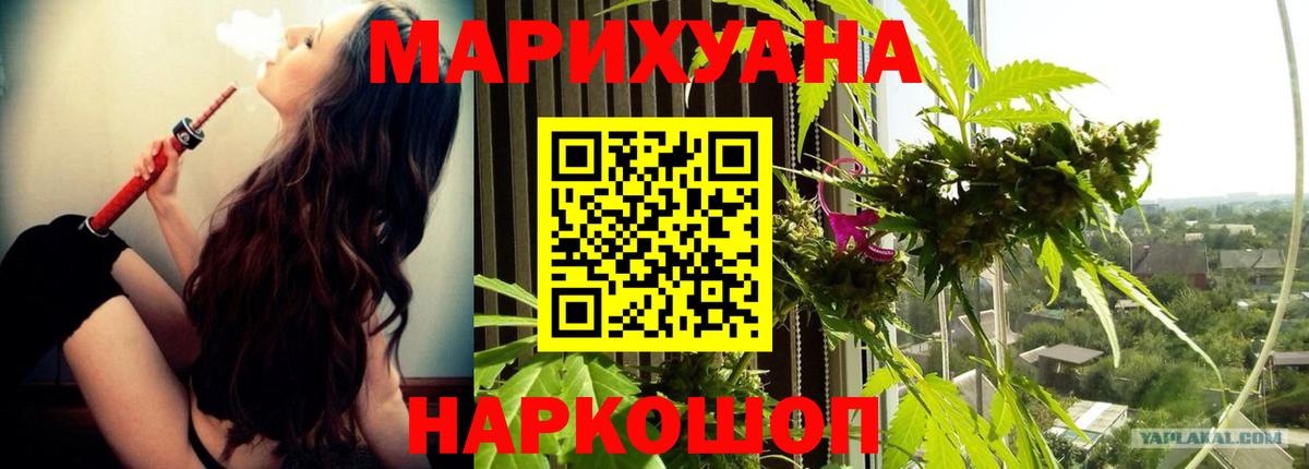 Бошки Шишки план  Конопля семена  Вход с VPN  МАРИХУАНА марихуана  Марихуана Amnesia  Видное 